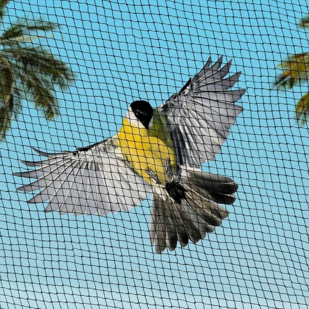 Building Bird Net