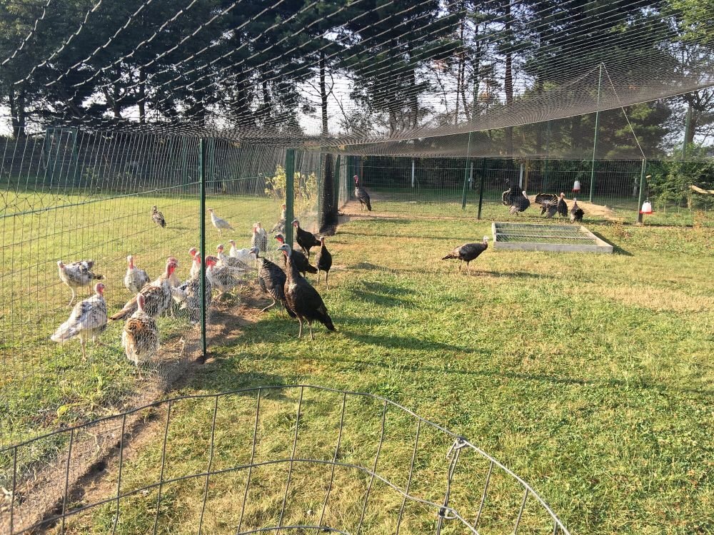 Agricultural Net