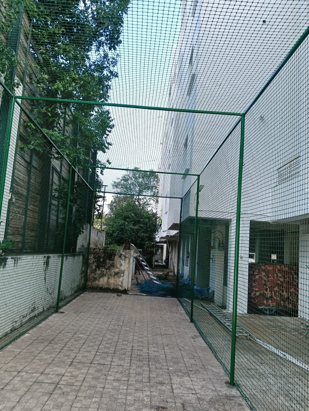 Terrace Cricket Net